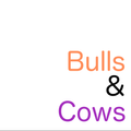 Bulls & Cows
