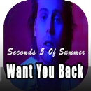 5 Seconds Of Summer - Want You Back APK