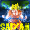 Super Saiyan Budokai Warrior