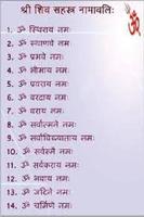 Shiv Chalisa In Hindi 截图 2