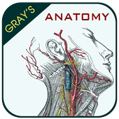 Gray's Anatomy - Atlas icon Gray's Anatomy - Atlas icon