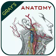 Gray's Anatomy - Anatomy Atlas アプリダウンロード