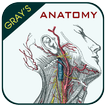 Gray's Anatomy - Anatomy Atlas