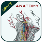 Gray's Anatomy - Anatomy Atlas アイコン