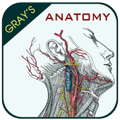 Gray's Anatomy - Anatomy Atlas icône
