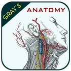 Gray's Anatomy - Anatomy Atlas ícone