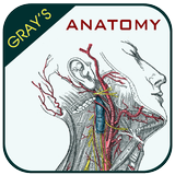 Gray's Anatomy - Anatomy Atlas ไอคอน