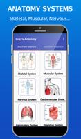Gray's Anatomy - Anatomy Atlas الملصق
