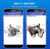 Gray's Anatomy - Anatomy Atlas تصوير الشاشة 3