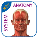 Human Anatomy - Muscles System APK