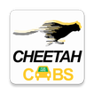 Cheetah Cabs for Lusaka Zambia