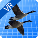 철새의 비행-APK