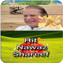 Hit Nawaz Sharif On Eggs APK