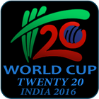 Twenty 20 Cricket World Cup icon