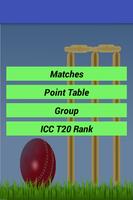 Twenty 20 Cricket World Cup poster