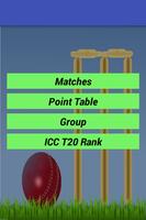 پوستر Twenty 20 Cricket World Cup