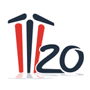 IPL T20 Alerts 2015 APK