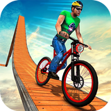 Impossible BMX Bicycle Stunts