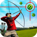 Watermelon Archery Shooting APK