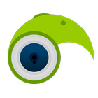 Pwiccer icon