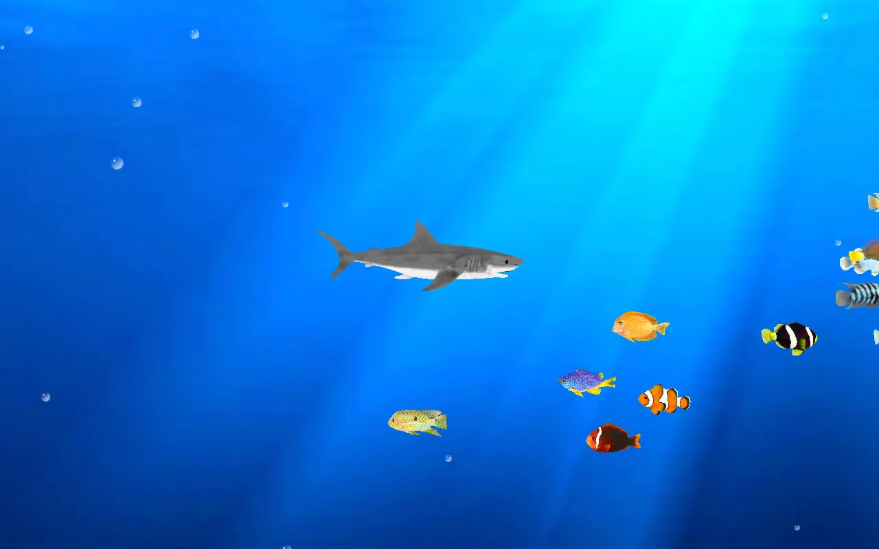 Angry Shark Adventures 3D – Apps on Google Play