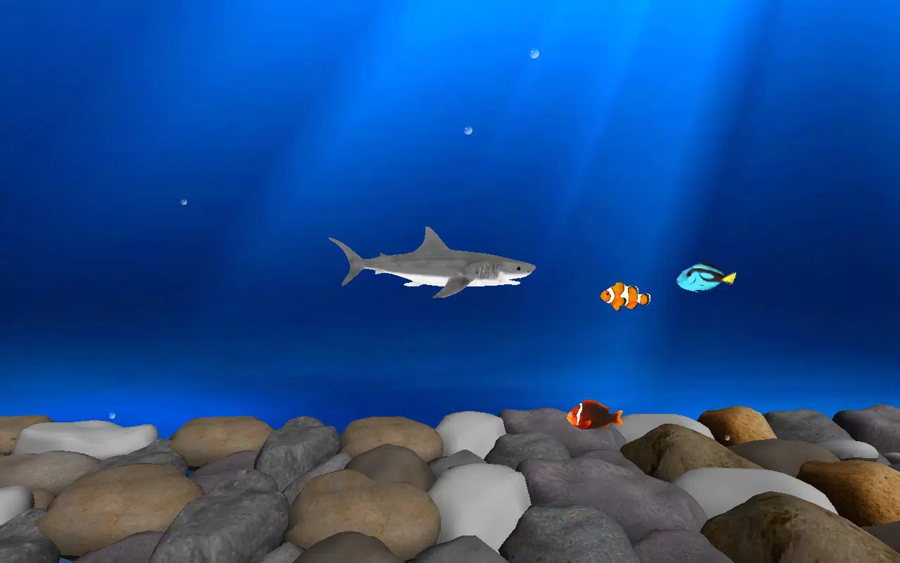 Angry Shark Adventures 3D – Apps no Google Play