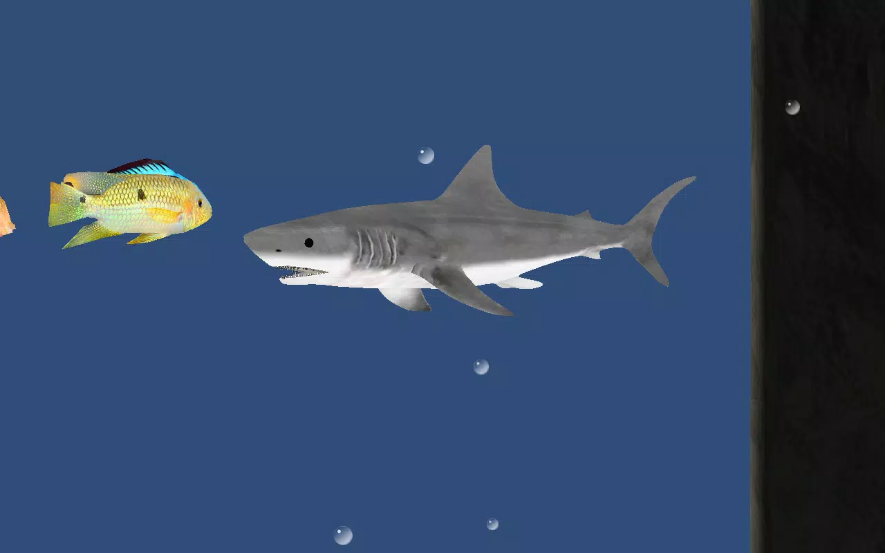 Angry Shark Adventures 3D – Apps on Google Play