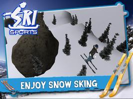Ski Sports 3D Affiche
