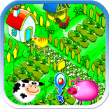 ฟาร์มปลูกผักขาย