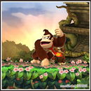 Guide Of Donkey Kong Country APK