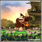 Guide Of Donkey Kong Country Zeichen