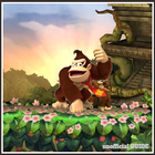 ikon Guide Of Donkey Kong Country