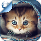 Kitty Cat Breeds Quiz HD 아이콘