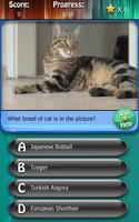 Kitty Cat Breeds Quiz HD 포스터