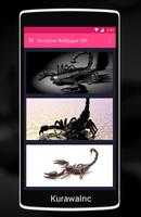 Scorpion King Wallpaper HD Affiche