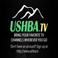 USHBA IPTV 海報