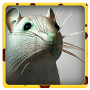 Yummy - 3D Mouse Running Games APK