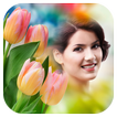 Tulip Photo Frames HD
