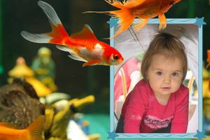 Aquarium Photo Frames Affiche