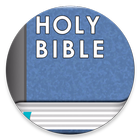 Holy Bible NIV ikona