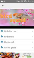 Bird Sound capture d'écran 2