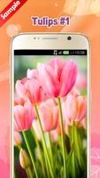 برنامه‌نما Tulip Wallpaper عکس از صفحه