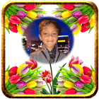 Tulip Photo Frames আইকন