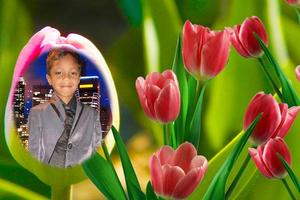 پوستر Tulip Photo Frames