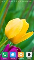 Tulips Flower Wallpaper gönderen