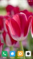 برنامه‌نما Tulips Flower Wallpaper عکس از صفحه