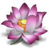 Tích truyện Pháp Cú APK