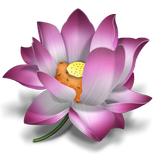 Tích truyện Pháp Cú