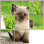 Slide Puzzle: Baby Animals