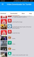 Video Downloader for Tumblr 截圖 2